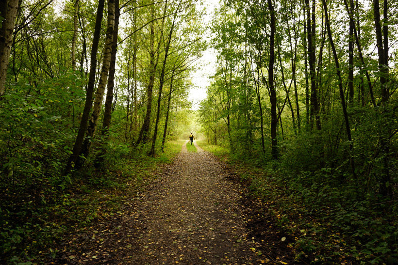 In luxembourg, the moselle (river) haff réimech nature reserve (les lacs de remerschen) is at the bottom of the wine slopes between schengen and remich. It’s well known for its large diversity of birds, its flora and fauna.