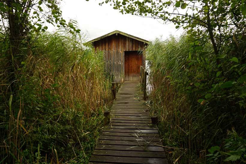 In luxembourg, the moselle (river) haff réimech nature reserve (les lacs de remerschen) is at the bottom of the wine slopes between schengen and remich. It’s well known for its large diversity of birds, its flora and fauna.