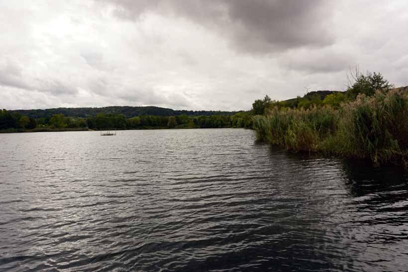 In luxembourg, the moselle (river) haff réimech nature reserve (les lacs de remerschen) is at the bottom of the wine slopes between schengen and remich. It’s well known for its large diversity of birds, its flora and fauna.