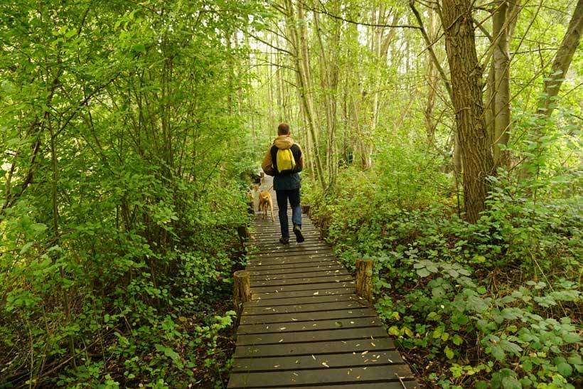 In luxembourg, the moselle (river) haff réimech nature reserve (les lacs de remerschen) is at the bottom of the wine slopes between schengen and remich. It’s well known for its large diversity of birds, its flora and fauna.