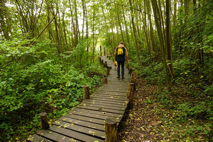 In luxembourg, the moselle (river) haff réimech nature reserve (les lacs de remerschen) is at the bottom of the wine slopes between schengen and remich. It’s well known for its large diversity of birds, its flora and fauna.